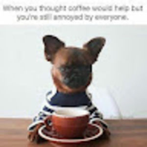 Meet your Posher, Janyre1979